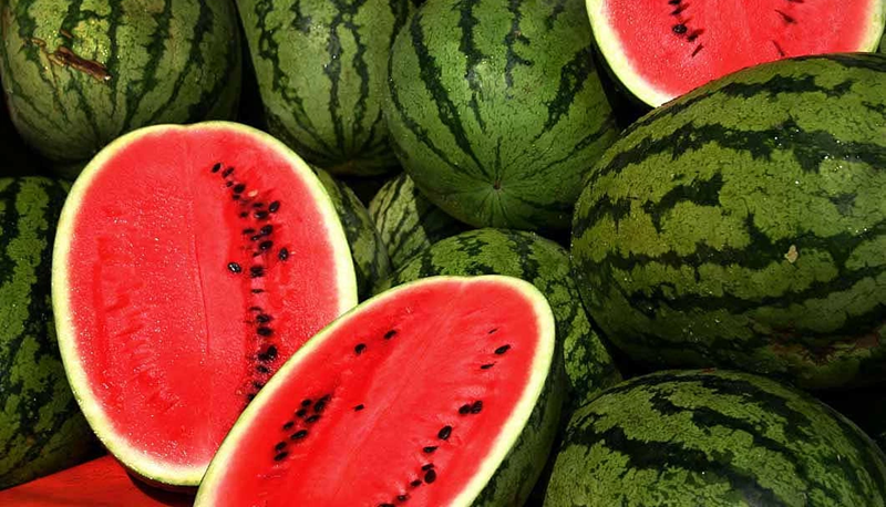 How Watermelons Became a Powerful Symbol of Palestinian Resistance 2